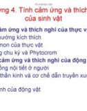 Bài giảng Sinh học đại cương - Chương 4