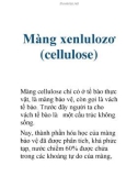 Màng xenlulozơ (cellulose)