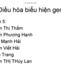 Điều hòa biểu hiện gen sửa