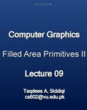 Lecture Computer graphics - Lesson 9: Filled area primitives II