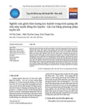 Nghiên cứu giảm hàm lượng lưu huỳnh trong tinh quặng sắt nhà máy tuyển đồng Sin Quyền - Lào Cai bằng phương pháp tuyển nổi