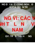 Bài giảng Địa lý kinh tế Việt Nam: Chương 6 - GV Trần Thu Hương