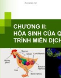 Bài giảng Hóa sinh động vật: Chương 2