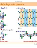 Di truyền học phân tử và tế bào : Cấu trúc, đặc tinh, chức năng của các đại phân tử sinh học part 10