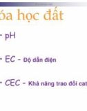 Bài giảng Khoa học đất (Ngành Quản lý đất đai) - Chương 6 (1): Hóa học đất