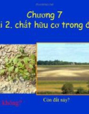 Bài giảng Khoa học đất - Chương 7: Chất hữu cơ trong đất