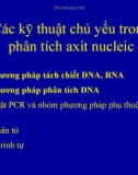 Các kỹ thuật chủ yếu trong phân tích axit nucleic