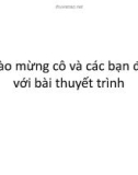 Bài thuyết trình: Đồng bằng sông Hồng và Duyên hải Đông Bắc