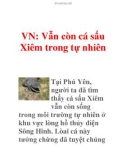 VN: Vẫn còn cá sấu Xiêm trong tự nhiên