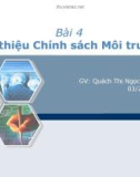 Chính sách môi trường