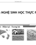 Bài giảng Công nghệ sinh học thực phẩm: Chương 1 - ThS. Phạm Hồng Hiếu