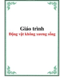 Giáo trình động vật không xương sống