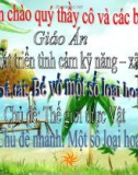 Thế giới thực vật