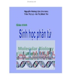 Giáo trình Sinh học phân tử