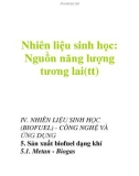 Nhiên liệu sinh học: Nguồn năng lượng tương lai(tt)