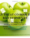 Bài giảng Công nghệ lên men: Chương 4 - ThS. Bùi Hồng Quân