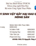 Bài giảng Công nghệ thực phẩm - Bài: Vi sinh vật gây hại rau quả và nông sản