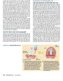 Công nghệ gene đến Protein part 4