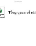 Bài giảng 6sigma: Tổng quan về cải tiến