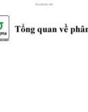 Bài giảng 6sigma: Tổng quan về phân tích