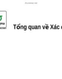 Bài giảng 6sigma: Tổng quan về xác định