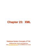 Lecture Database system concepts (6/e): Chapter 23 - Silberschatz, Korth, Sudarshan