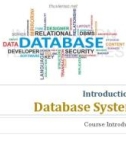 Lecture Database Systems - Chapter 0: Introduction to Database Systems (Trương Quỳnh Chi)