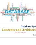 Lecture Database Systems - Chapter 1: Database systems concepts and architecture (Trương Quỳnh Chi)