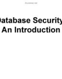 Lecture Database Systems - Chapter 10: Database security: An introduction (Nguyen Thanh Tung)