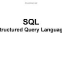 Lecture Database Systems - Chapter 6-7: SQL (Nguyen Thanh Tung)