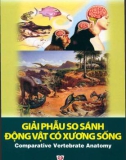 Giáo trình Giải phẫu so sánh động vật có xương sống (Tái bản lần thứ nhất): Phần 1