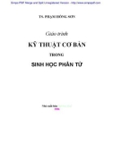 Giáo trình Kỹ thuật cơ bản trong Sinh học phân tử - TS. Phạm Hồng Sơn