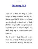 Phản ứng PCR