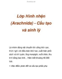 Lớp Hình nhện (Arachnida) - Cấu tạo và sinh lý