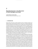 7Microbial Enzymes in the Biocontrol of Plant Pathogens and aEnzymes in the Environment: Activity, Ecology and Applications - Chapter 7PestsLeonid Chernin and Ilan ChetThe