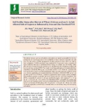 Soil fertility status after harvest of wheat (Triticum aestivum L) in salt affected soils of gujarat as influenced by iron and zinc enriched FYM