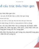 Bài giảng Xu hướng phát triển thực phẩm: Thiết kế cấu trúc biểu hiện gen