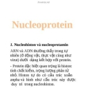 Nucleoprotein