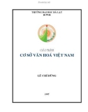 Giáo trình Cơ sở văn hóa Việt Nam - Lê Chí Dũng