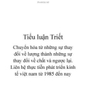 Tiểu luận Triết Chuyển hóa từ những sự thay đổi về lượng thành những sự thay đổi về chất và ngược lại. Liên hệ thực tiễn phát triển kinh tế việt nam từ 1985 đến nay