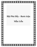 Hội Phủ Dầy - Rước kiệu Mẫu Liễu