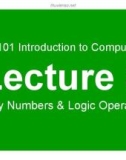 Lecture Introduction to computing - Lesson 8: Binary numbers & Logic operations