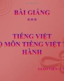 Bài giảng Tiếng Việt và bộ môn tiếng Việt thực hành - GV. Cao Bé Em