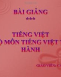 Bài giảng Tiếng Việt và bộ môn tiếng Việt thực hành