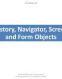 Lecture Introduction to web engineering - Lec 23: History, navigator, screen and form objects