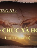 Bài giảng Xã hội học: Chương III