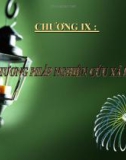 Bài giảng Xã hội học: Chương IX