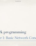 Lecture Network programming - Chapter 1: Basic Network Concepts (Tran Thi Ha Trang)