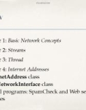 Lecture Network programming - Chapter 5: URLs and URIs (Tran Thi Ha Trang)