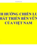 Bài giảng Định hướng chiến lược phát triển bền vững của Việt Nam - TS. Lê Phát